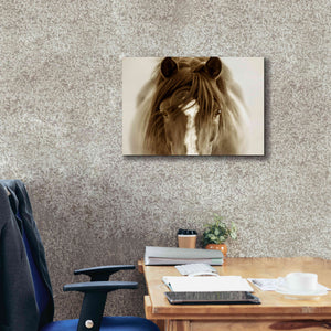 'Ghost Horse' by Lisa Dearing, Giclee Canvas Wall Art,24x20