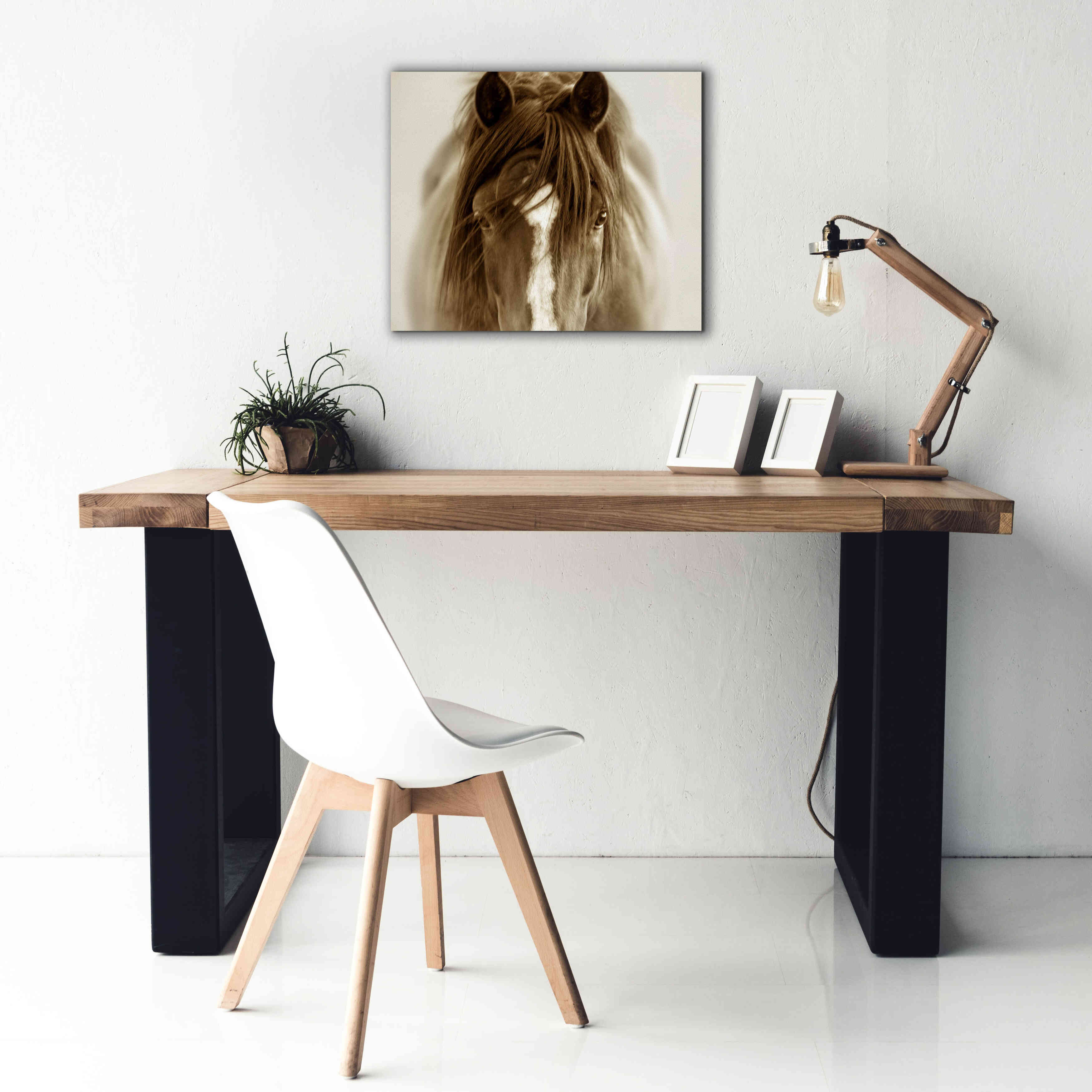 'Ghost Horse' by Lisa Dearing, Giclee Canvas Wall Art,24x20