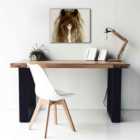 Image of 'Ghost Horse' by Lisa Dearing, Giclee Canvas Wall Art,24x20