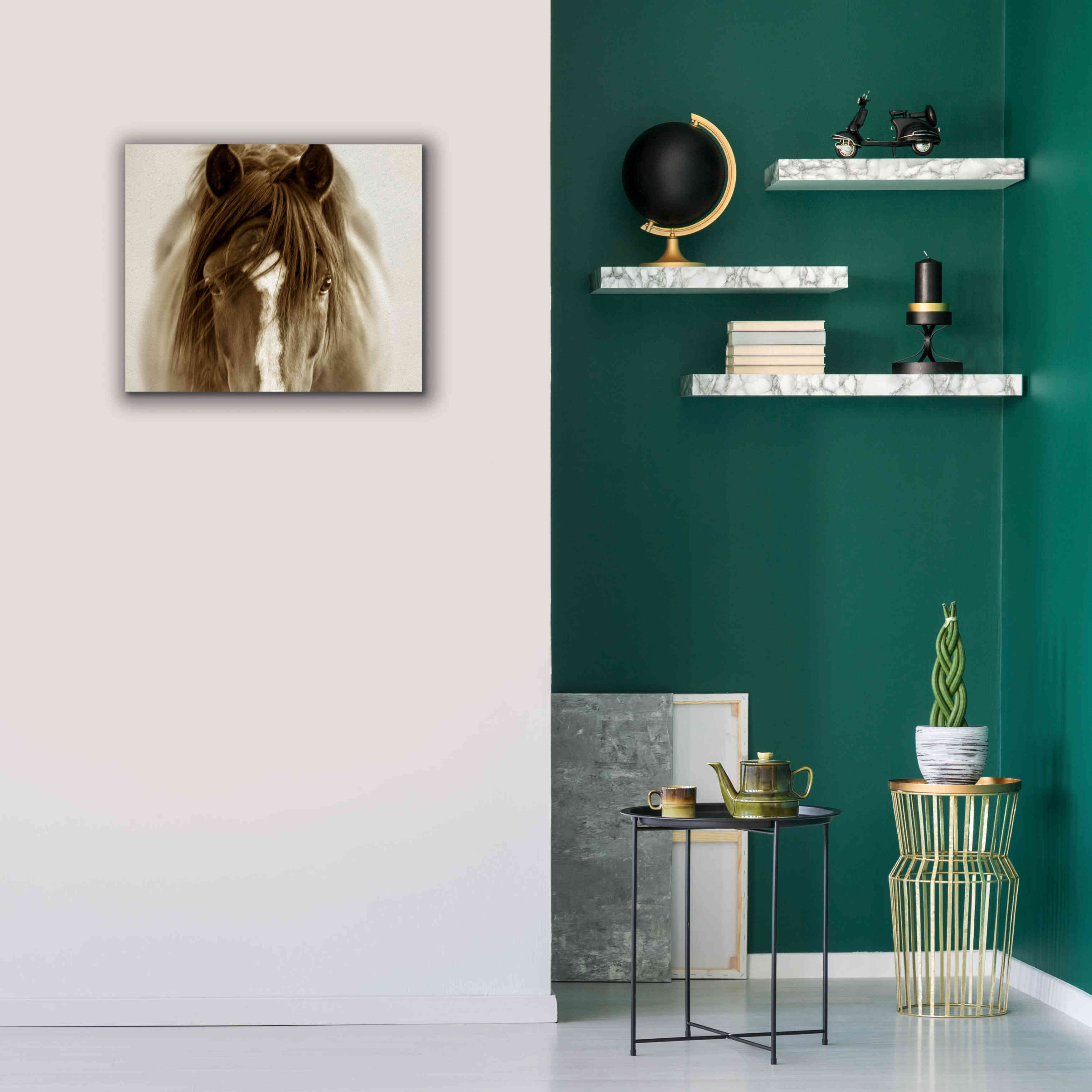 'Ghost Horse' by Lisa Dearing, Giclee Canvas Wall Art,24x20