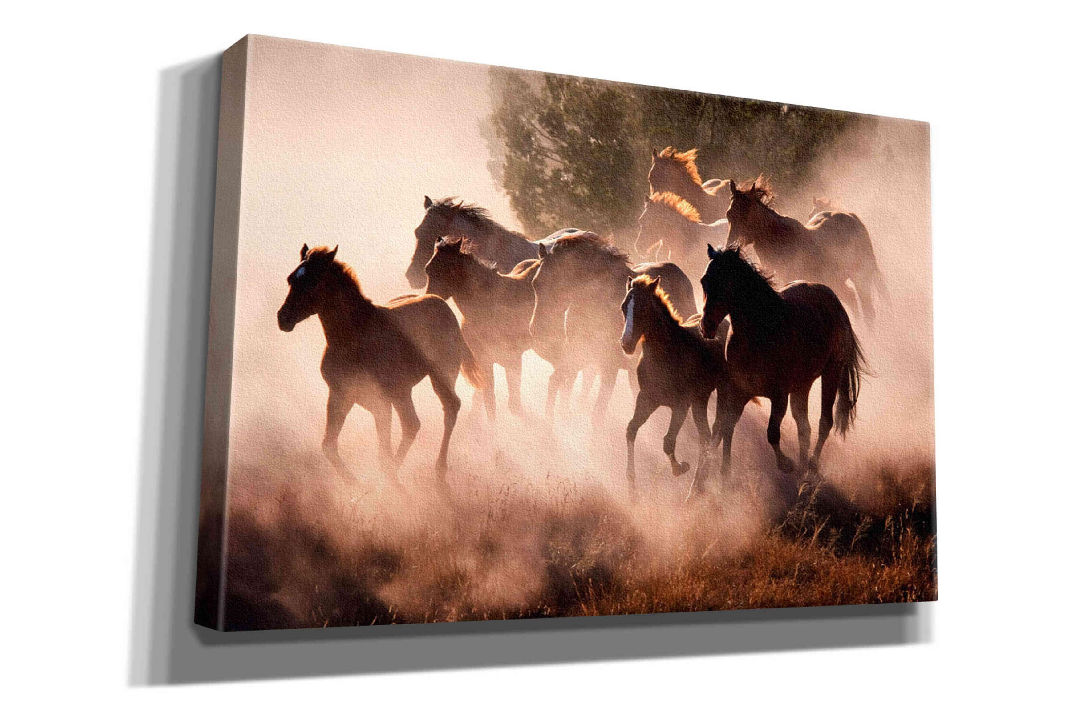 'Horses' by Lisa Dearing, Giclee Canvas Wall Art