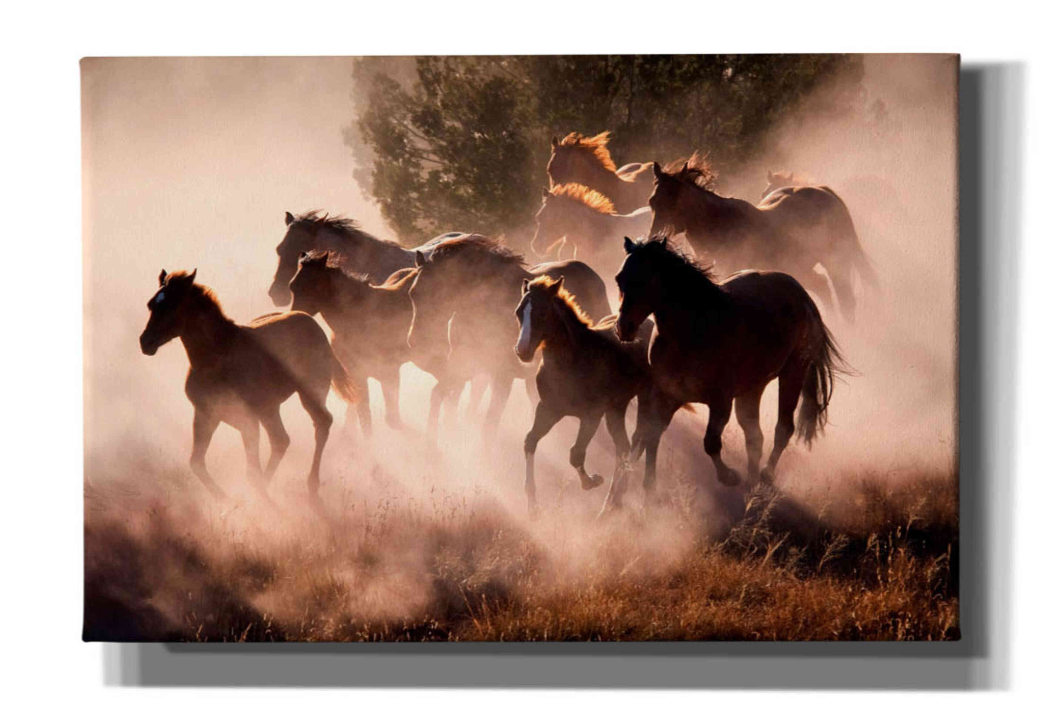 'Horses' by Lisa Dearing, Giclee Canvas Wall Art