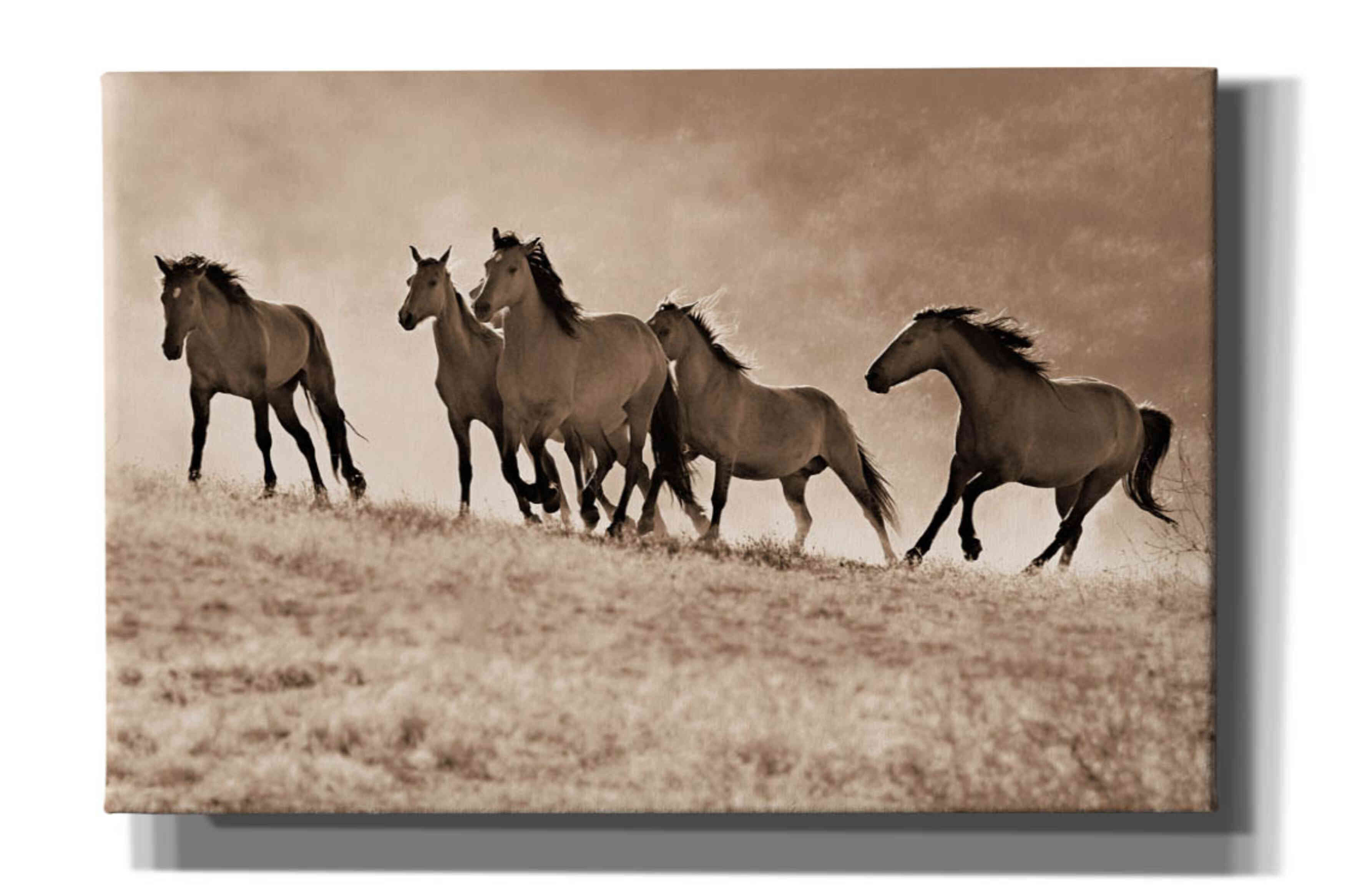 'Kicking Dust' by Lisa Dearing, Giclee Canvas Wall Art