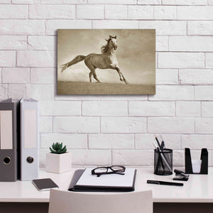 'Like the Wind' by Lisa Dearing, Giclee Canvas Wall Art,18x12