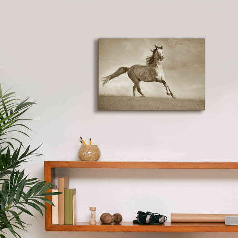 Image of 'Like the Wind' by Lisa Dearing, Giclee Canvas Wall Art,18x12