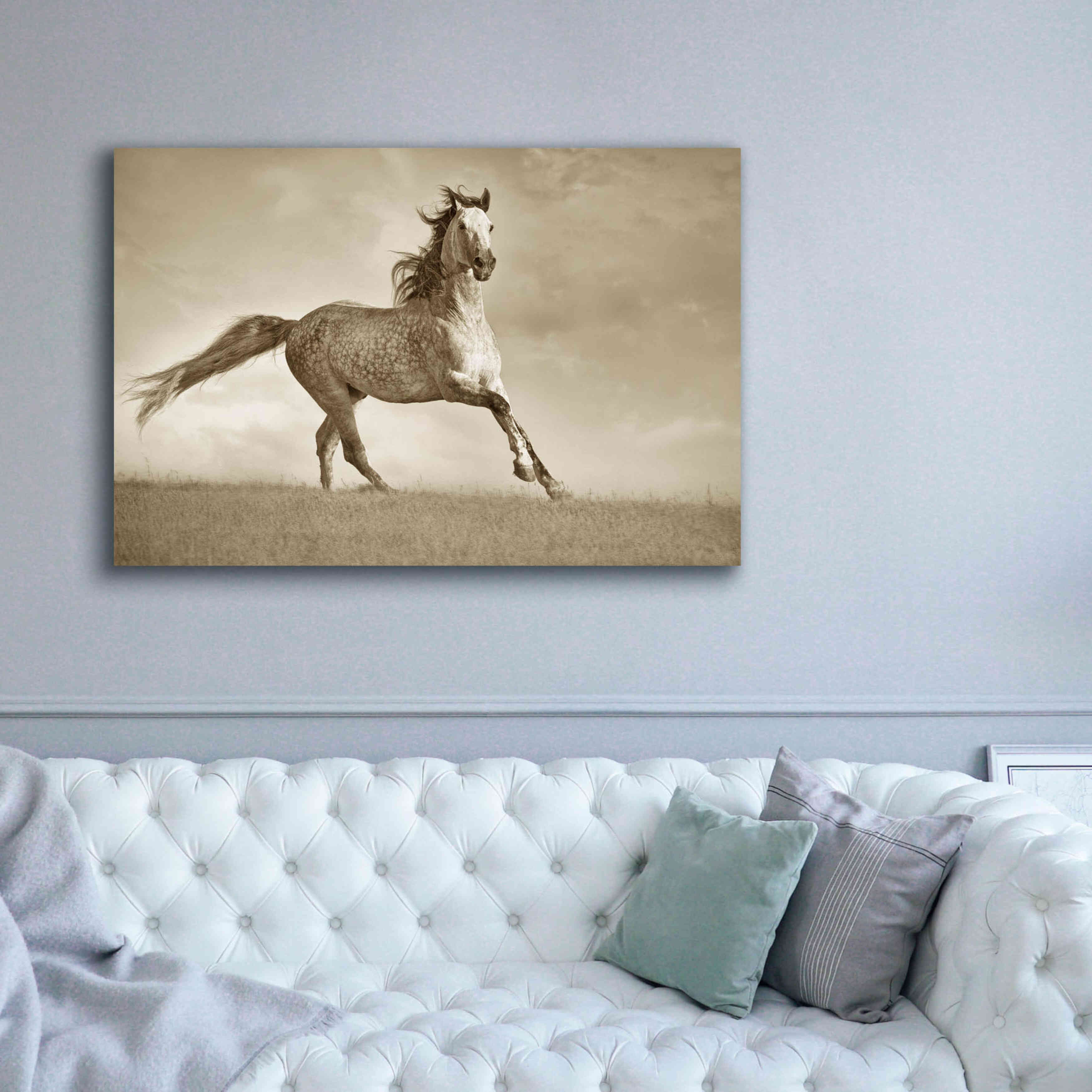 'Like the Wind' by Lisa Dearing, Giclee Canvas Wall Art,60x40