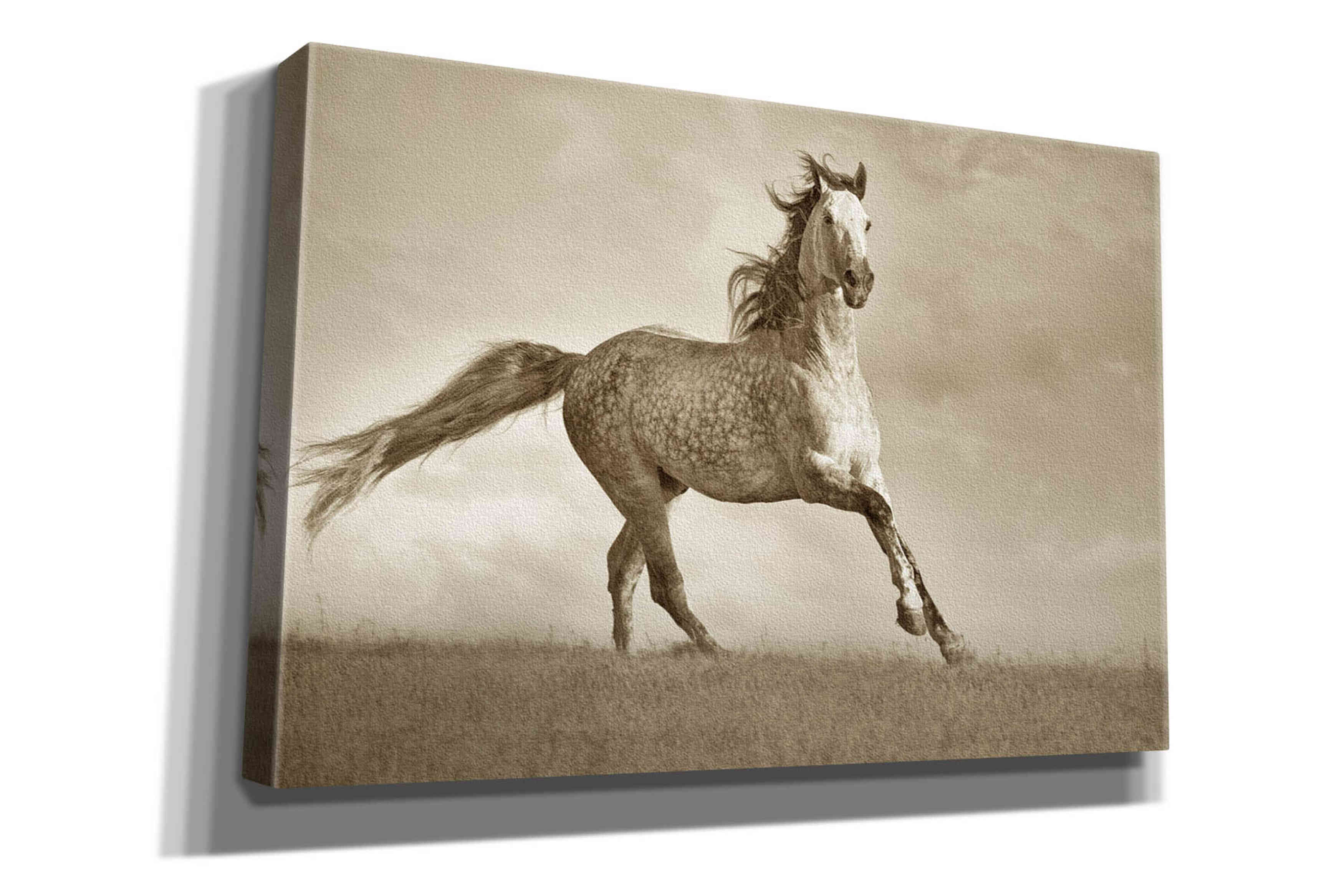 'Like the Wind' by Lisa Dearing, Giclee Canvas Wall Art