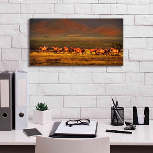 'Montana Dreaming' by Lisa Dearing, Giclee Canvas Wall Art,24x12