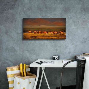 'Montana Dreaming' by Lisa Dearing, Giclee Canvas Wall Art,24x12