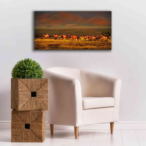 Image of 'Montana Dreaming' by Lisa Dearing, Giclee Canvas Wall Art,40x20