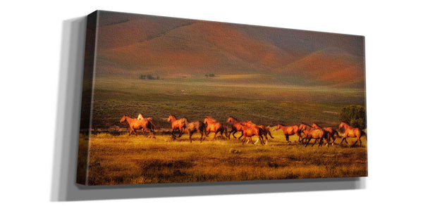'Montana Dreaming' by Lisa Dearing, Giclee Canvas Wall Art