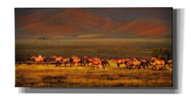 'Montana Dreaming' by Lisa Dearing, Giclee Canvas Wall Art