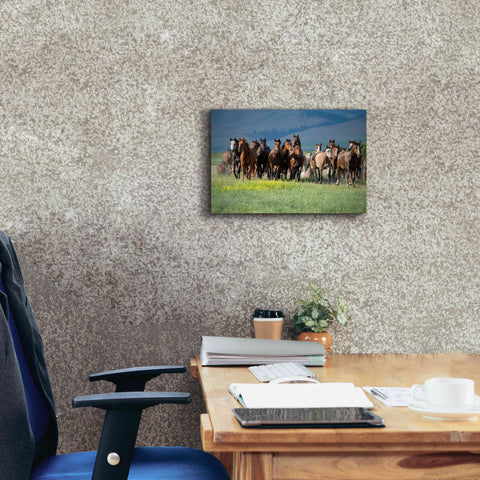 Image of 'Montana Thunder' by Lisa Dearing, Giclee Canvas Wall Art,18x12