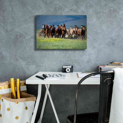 Image of 'Montana Thunder' by Lisa Dearing, Giclee Canvas Wall Art,18x12