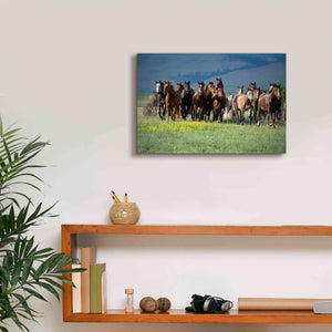 'Montana Thunder' by Lisa Dearing, Giclee Canvas Wall Art,18x12