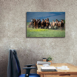 'Montana Thunder' by Lisa Dearing, Giclee Canvas Wall Art,40x26