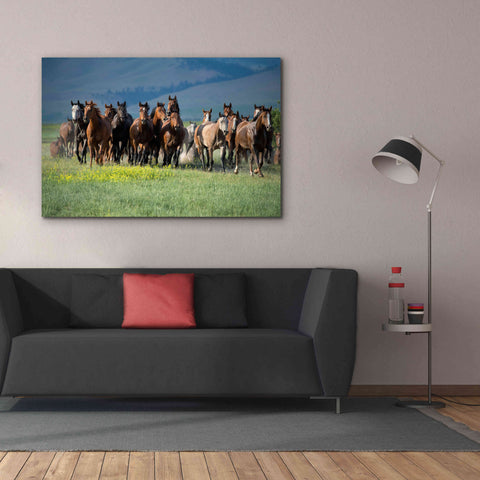 Image of 'Montana Thunder' by Lisa Dearing, Giclee Canvas Wall Art,60x40