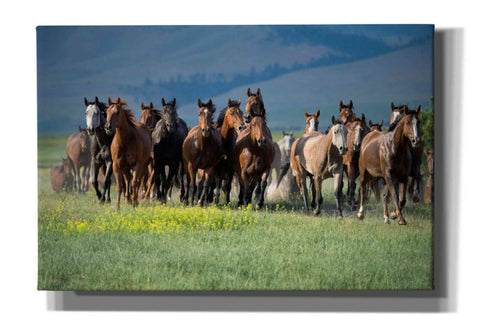Image of 'Montana Thunder' by Lisa Dearing, Giclee Canvas Wall Art