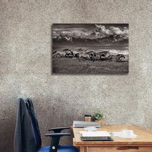'Mountain Range Mavericks' by Lisa Dearing, Giclee Canvas Wall Art,40x26