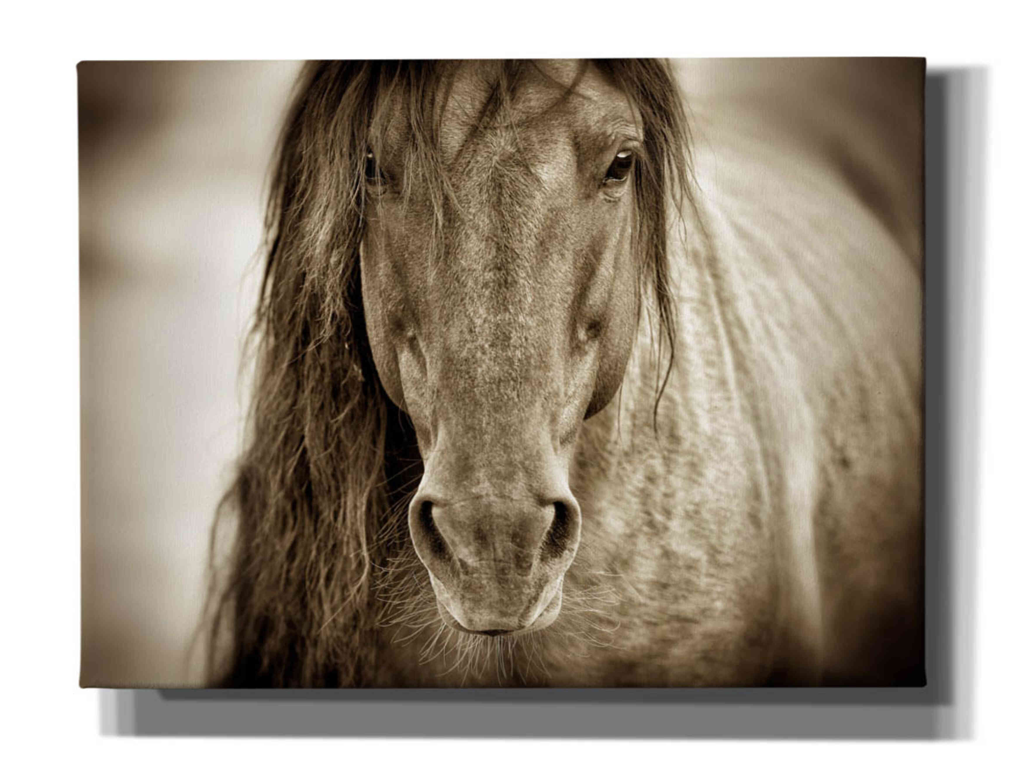 'Mustang Sally' by Lisa Dearing, Giclee Canvas Wall Art