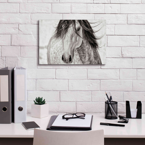 Image of 'My Beautiful Mane' by Lisa Dearing, Giclee Canvas Wall Art,18x12
