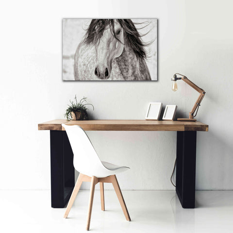 Image of 'My Beautiful Mane' by Lisa Dearing, Giclee Canvas Wall Art,40x26