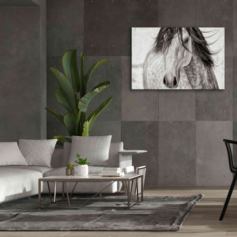 Image of 'My Beautiful Mane' by Lisa Dearing, Giclee Canvas Wall Art,60x40