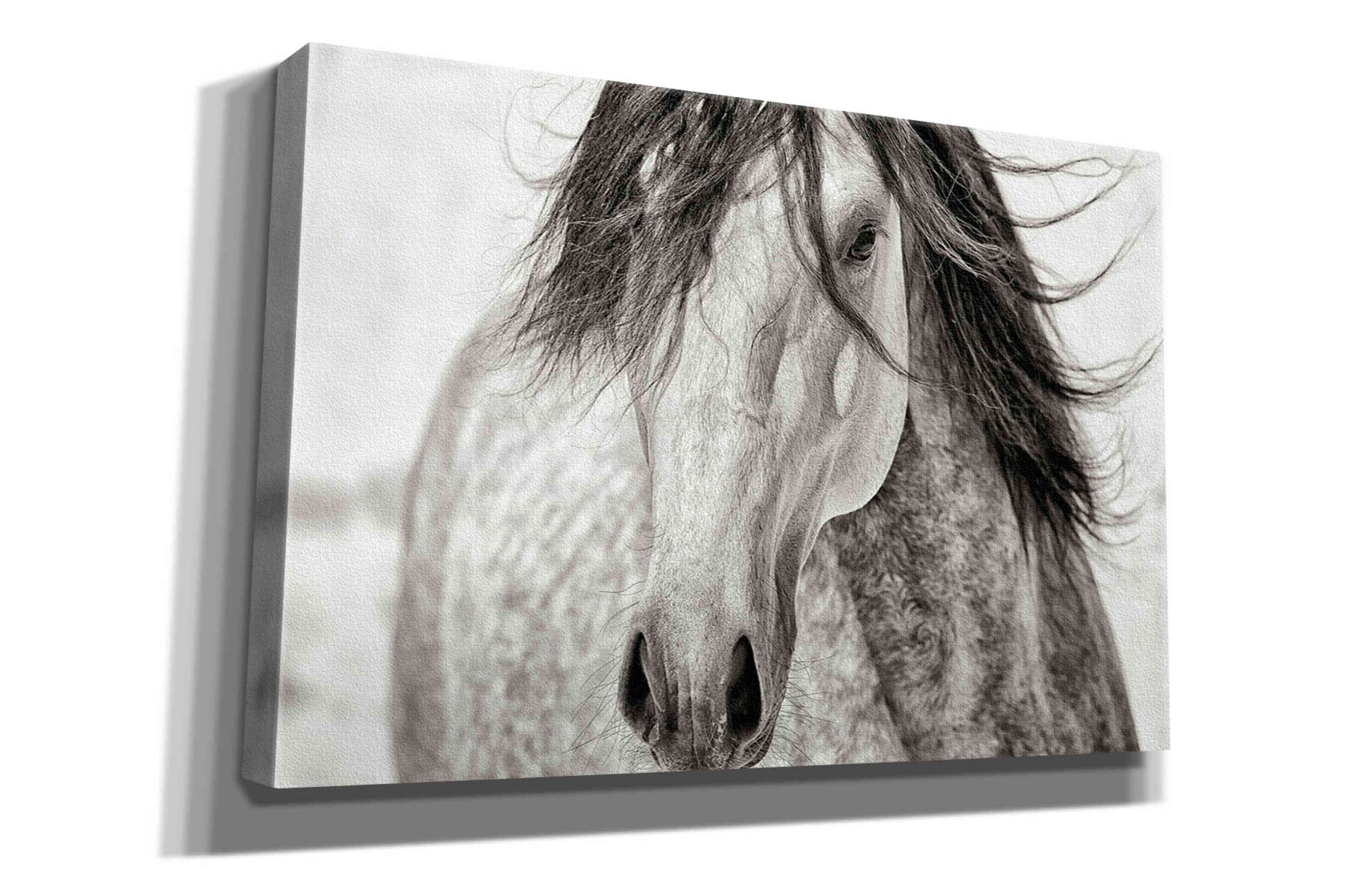 'My Beautiful Mane' by Lisa Dearing, Giclee Canvas Wall Art