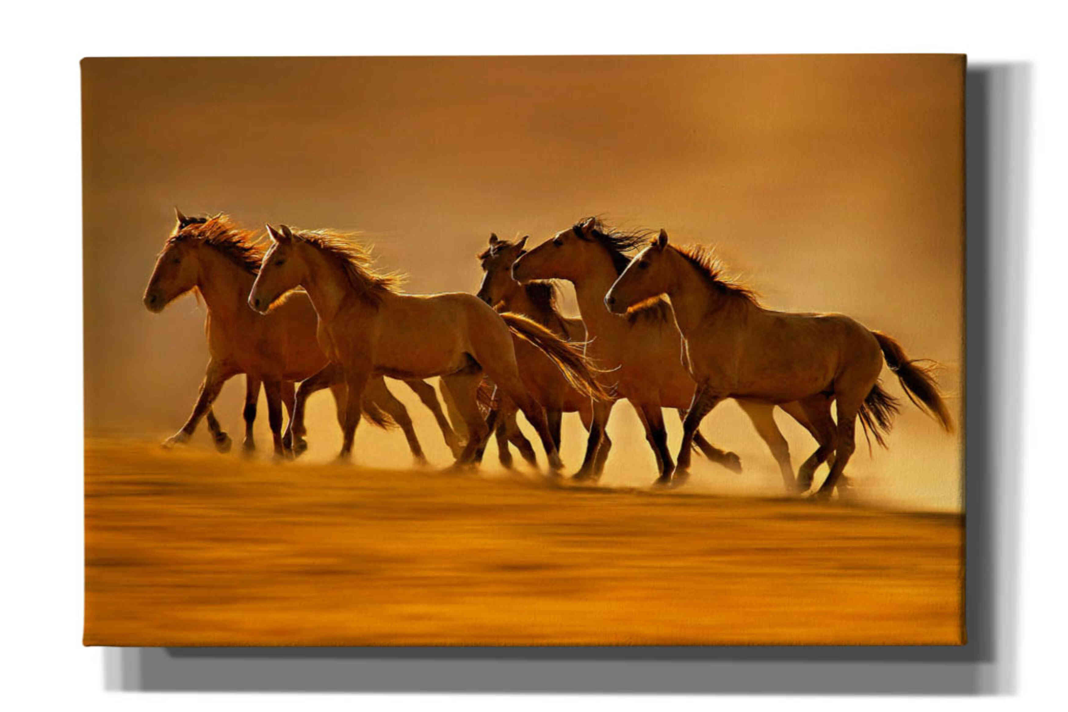 'Night Runners' by Lisa Dearing, Giclee Canvas Wall Art