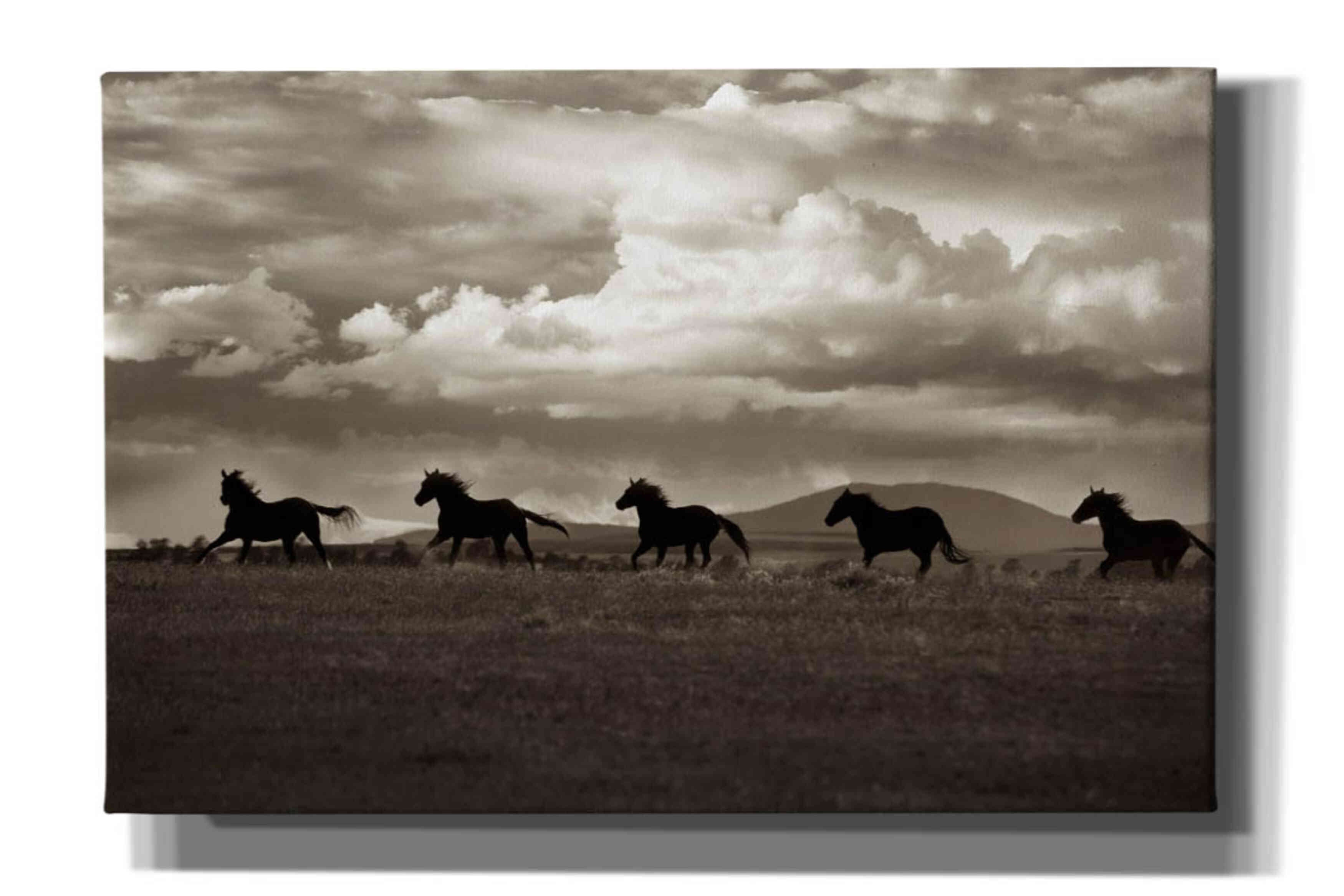 'Racing the Clouds' by Lisa Dearing, Giclee Canvas Wall Art