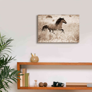 'Running Free' by Lisa Dearing, Giclee Canvas Wall Art,18x12