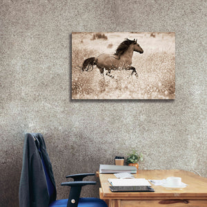 'Running Free' by Lisa Dearing, Giclee Canvas Wall Art,40x26