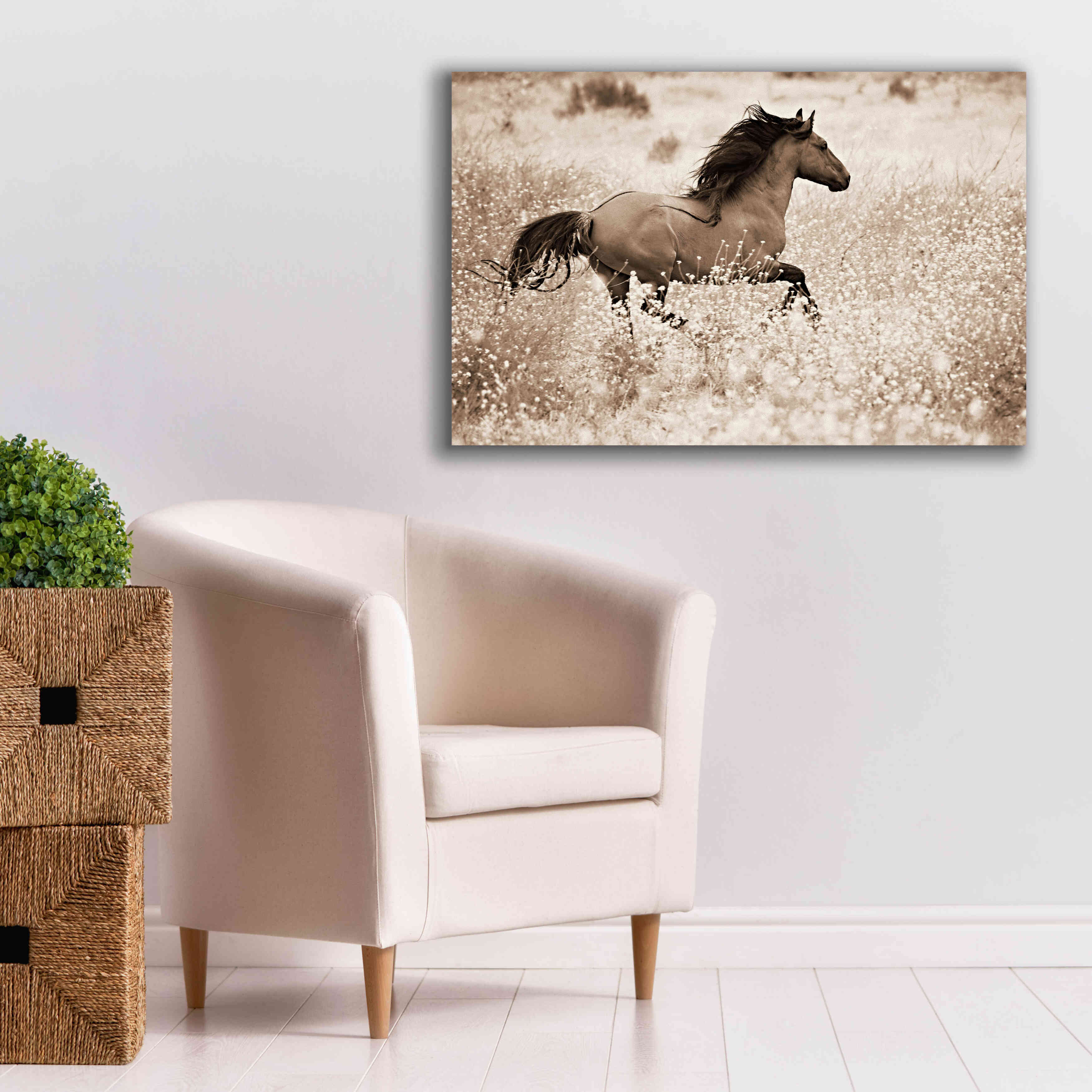 'Running Free' by Lisa Dearing, Giclee Canvas Wall Art,40x26