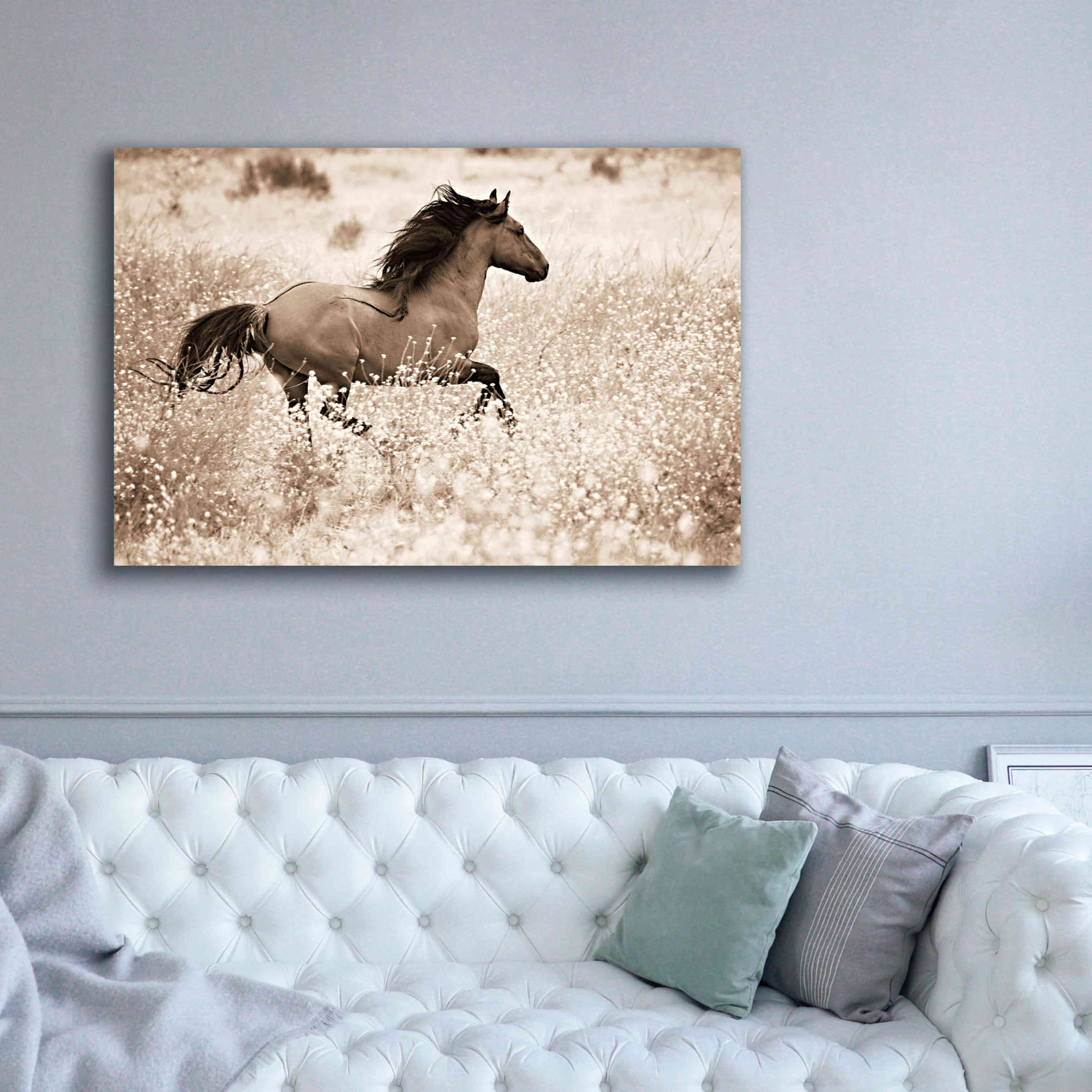 'Running Free' by Lisa Dearing, Giclee Canvas Wall Art,60x40