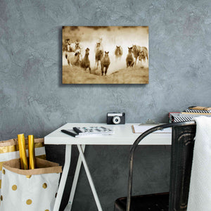 'San Cristobol Horses' by Lisa Dearing, Giclee Canvas Wall Art,18x12
