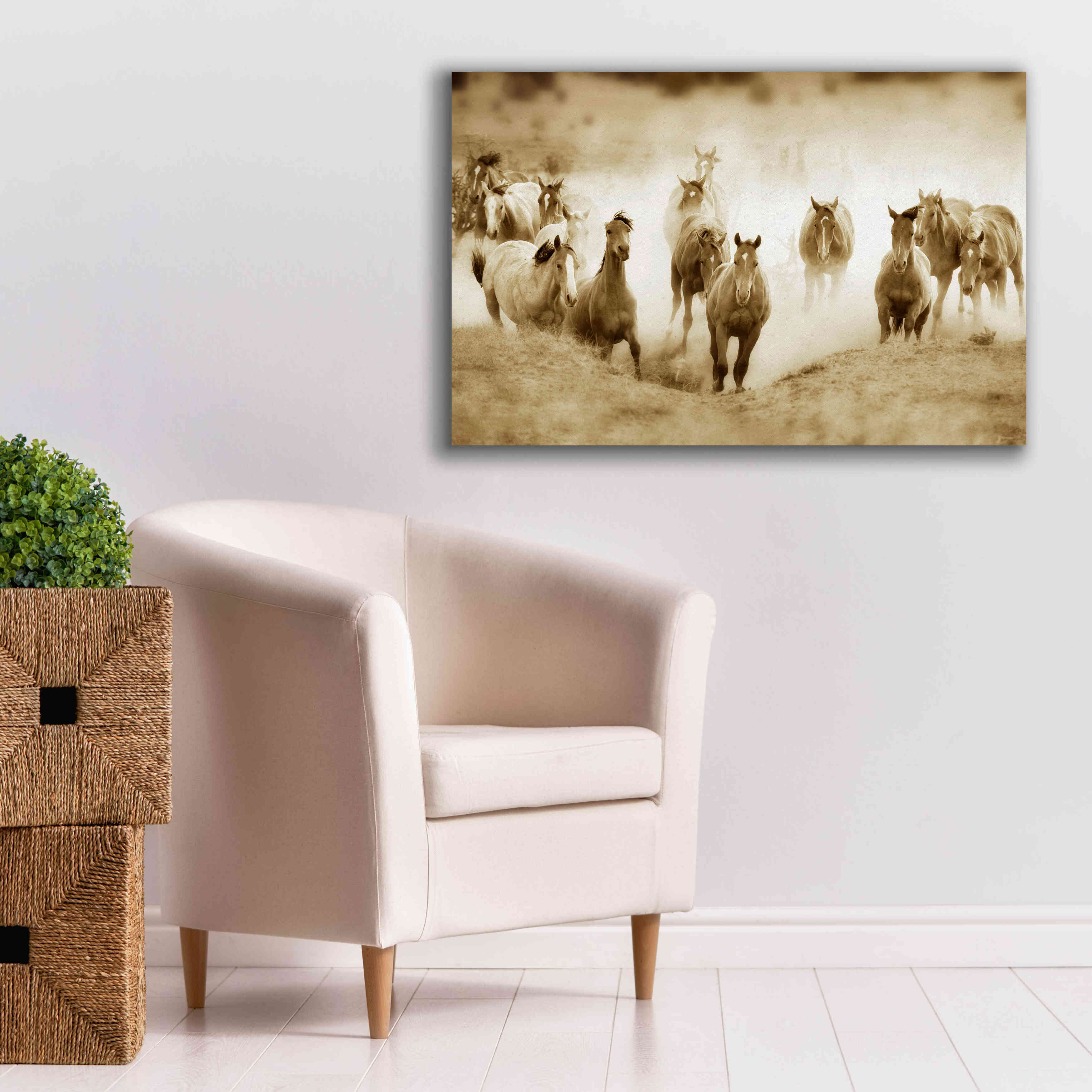 'San Cristobol Horses' by Lisa Dearing, Giclee Canvas Wall Art,40x26