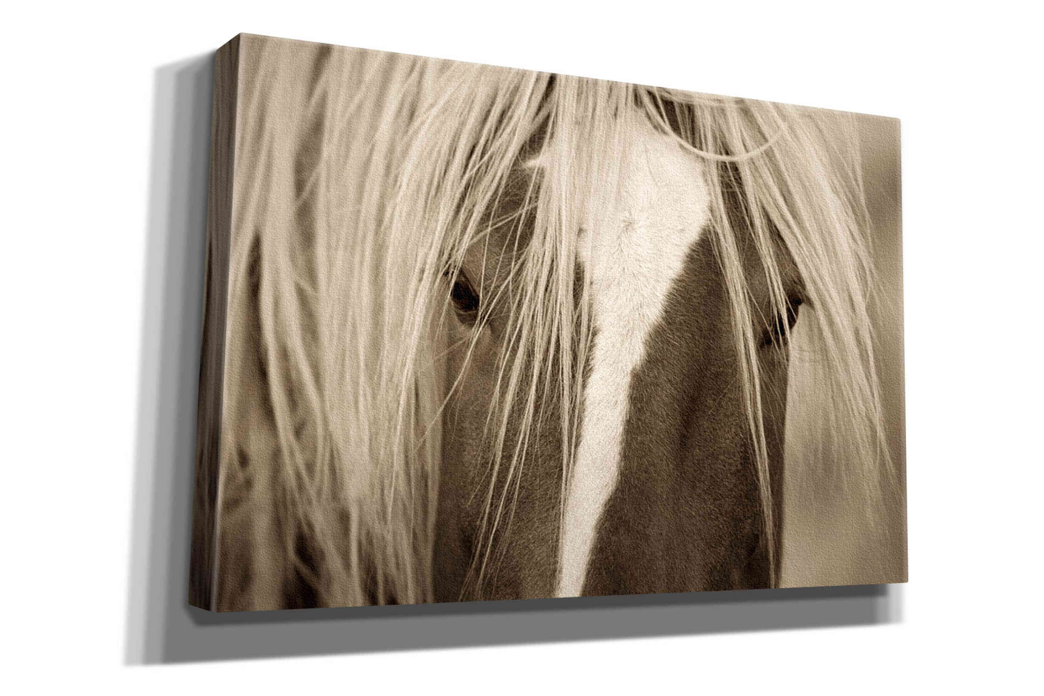 'The Blonde' by Lisa Dearing, Giclee Canvas Wall Art