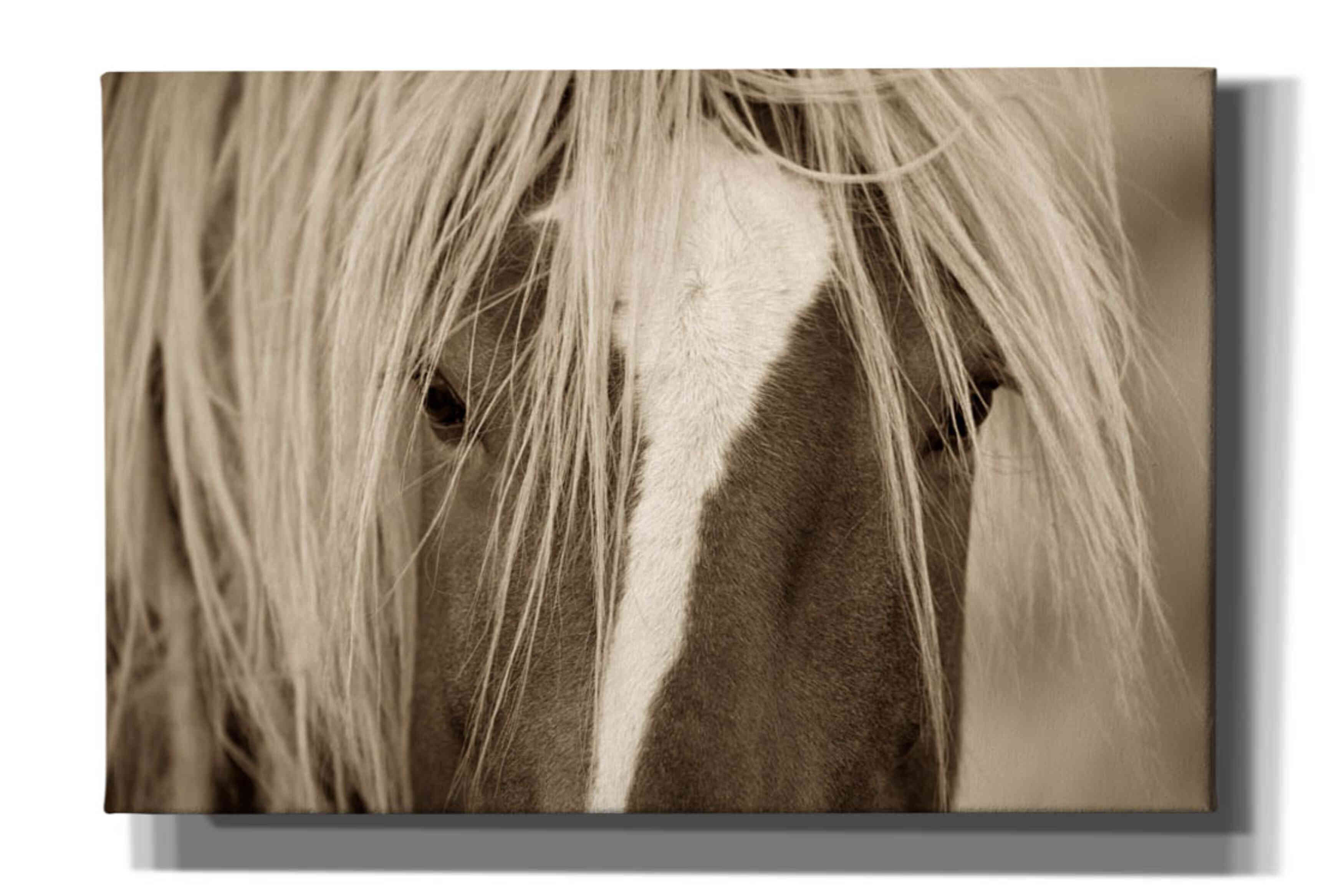 'The Blonde' by Lisa Dearing, Giclee Canvas Wall Art