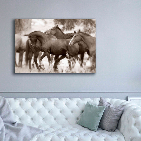 Image of 'The Herd' by Lisa Dearing, Giclee Canvas Wall Art,60x40