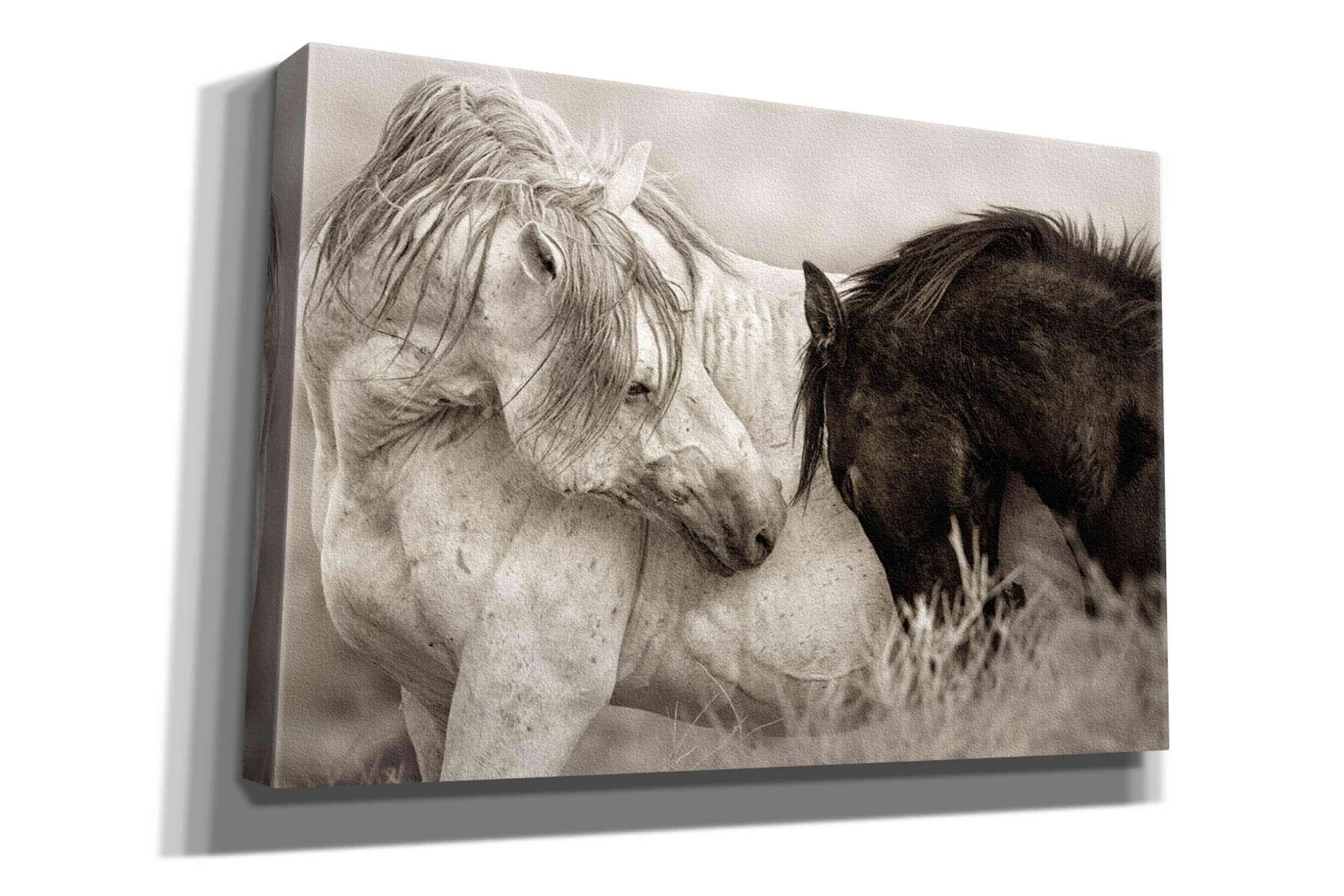 'The Long Goodbye' by Lisa Dearing, Giclee Canvas Wall Art