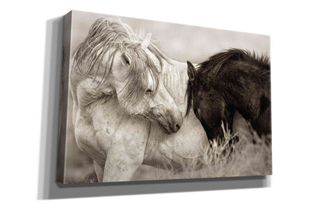 'The Long Goodbye' by Lisa Dearing, Giclee Canvas Wall Art