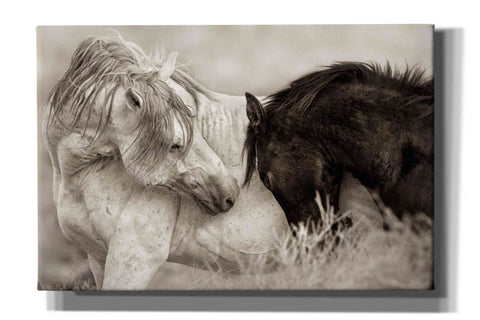 Image of 'The Long Goodbye' by Lisa Dearing, Giclee Canvas Wall Art