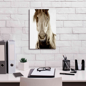 'Wilbur Cruz' by Lisa Dearing, Giclee Canvas Wall Art,12x18