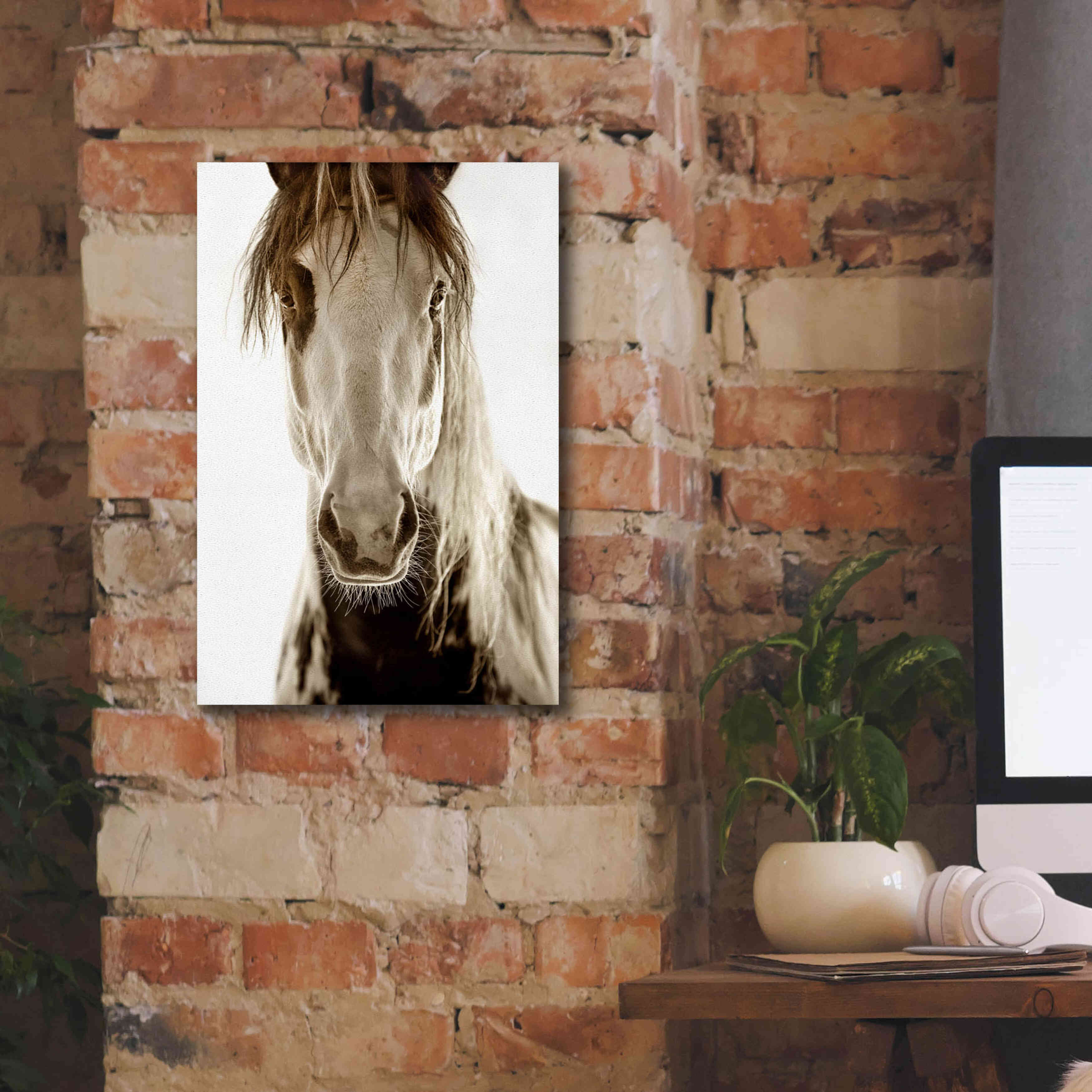 'Wilbur Cruz' by Lisa Dearing, Giclee Canvas Wall Art,12x18