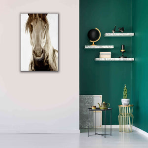 'Wilbur Cruz' by Lisa Dearing, Giclee Canvas Wall Art,26x40
