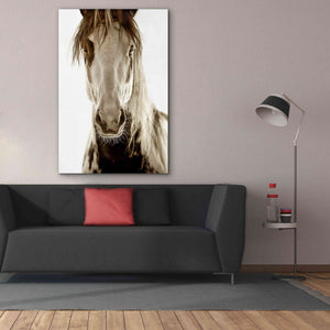 'Wilbur Cruz' by Lisa Dearing, Giclee Canvas Wall Art,40x60