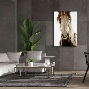 'Wilbur Cruz' by Lisa Dearing, Giclee Canvas Wall Art,40x60