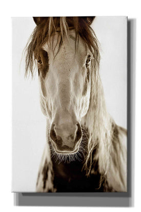 'Wilbur Cruz' by Lisa Dearing, Giclee Canvas Wall Art