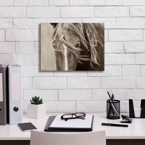 Image of 'Wind Knots' by Lisa Dearing, Giclee Canvas Wall Art,16x12