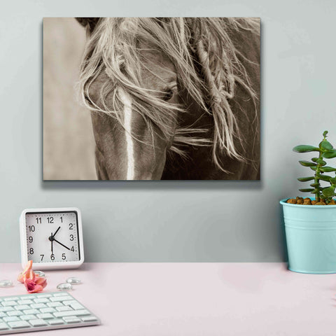 Image of 'Wind Knots' by Lisa Dearing, Giclee Canvas Wall Art,16x12